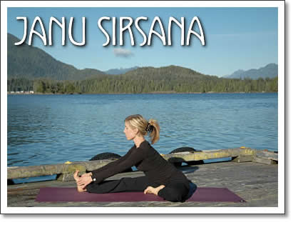 tofino yoga: Janu Sirsana (Head to Knee Pose)