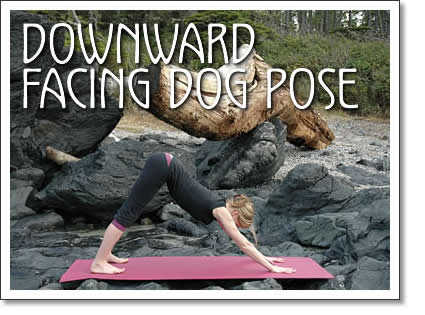 tofino yoga: downward facing dog pose