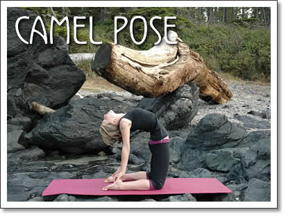 tofino yoga: camel pose