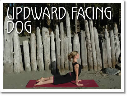 tofino yoga: upward facing dog