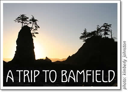 a trip to bamfield
