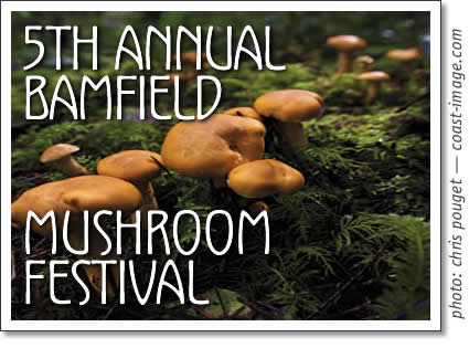 5 the annual bamfield mushroom festival