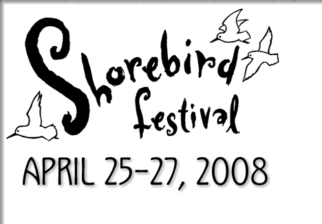 tofino shorebird festival 2008