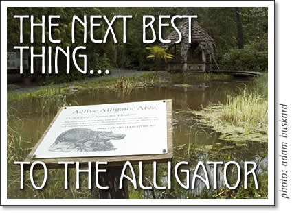 tofino botanical garden alligator pond