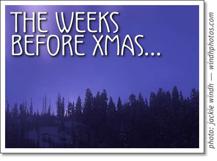 tofino christmas - the weeks before xmas