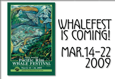 tofino whalefest is coming!