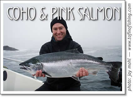 coho and pink salmon - mother nature's stimulus package