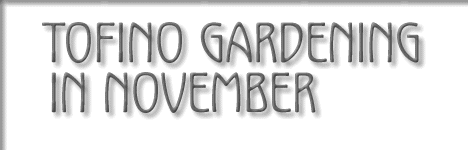 tofino gardening in november