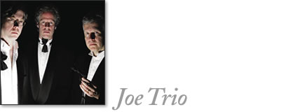 tofino concert - joe trio