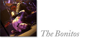 tofino concert - the bonitos