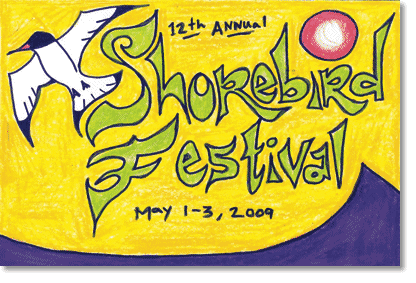 the tofino shorebird festival