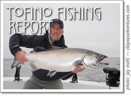 tofino fishing report