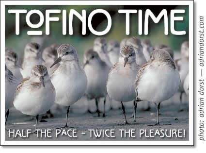 tofino time magazine may 2004