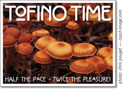 tofino time magazine: tofino activities & events november 2007