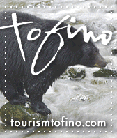 tourism tofino bearwatching