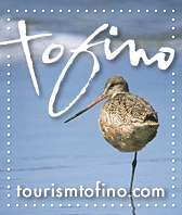tourism tofino birdwatching