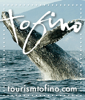 tourism tofino whale watching