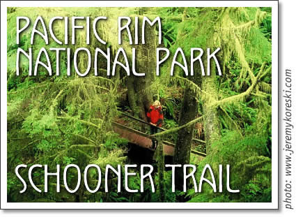 pacific rim national park - schooner cove trail